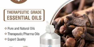 Clove Bud Therapeutic Essential Oil