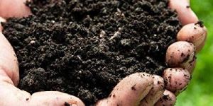 Natural Fertilizer