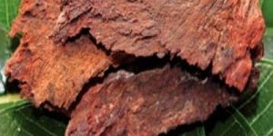 Arjuna Extract