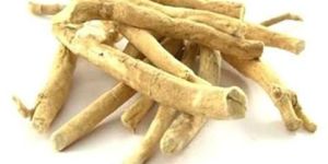 Ashwagandha Extract