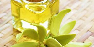 Ylang Ylang Essential Oil