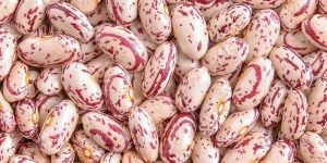 Speckled Kidney Beans
