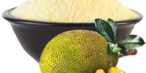 Jack Fruit Powder