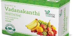 Vadanakanthi Mixed Fruit Soap
