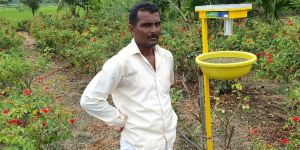 Mgk Solar Insect Trap