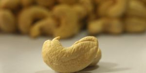 Cashew Nut