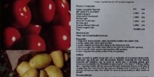 Copper Oxychloride 50 WP ( Bluetox 50) Fungicide