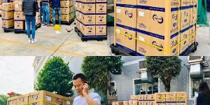 Electrolytic Capacitors