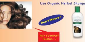 Organic Anti-Dandruff Herbal Hair Shampoo