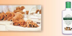 Organic Pets Shampoo