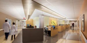 Anti Bacterial Paint