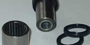 Needle Bushes
