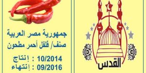 Non Woven Spices Bags