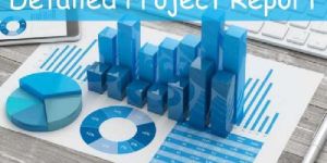 Customized Project Reports