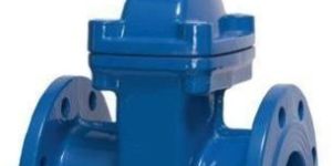 Cast Iron Double Flange Sluice Valve