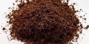 Cocopeat Powder