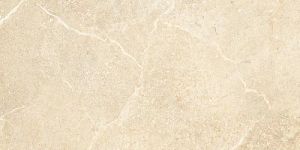 600x600 Vitrified Tiles