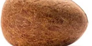 Coconut Copra