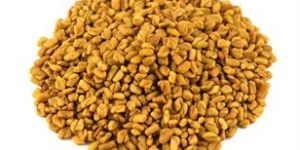 Fenugreek Seeds