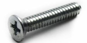 Galvanized Screw