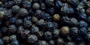 Black Pepper