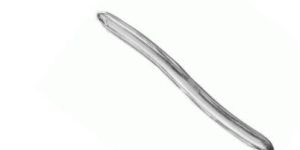 Hegar Uterine Dilator
