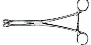 Sponge Holding Forceps