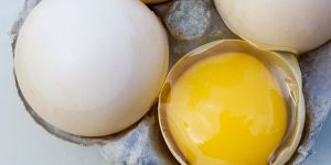 Duck Eggs