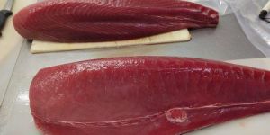 Frozen Tuna Loin