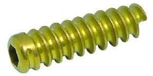 ACL Screw
