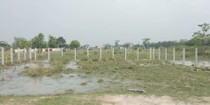 Designer Compound Wall