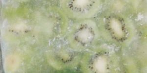 Frozen Kiwi