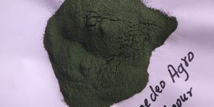 Spirulina Powder