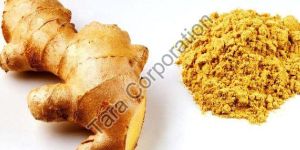 Ginger Extract Powder