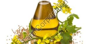 Mustard Essential Oil
