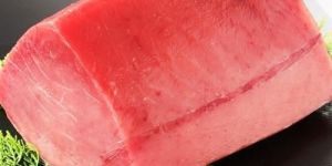 Tuna Loin