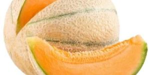 Fresh Muskmelon