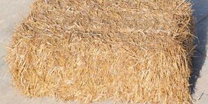 Wheat Husk Bales