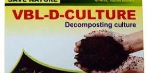 Decomposing Culture