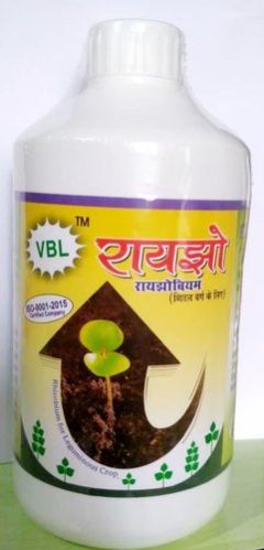 VBL Rhizobium Biofertilizer