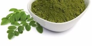 Moringa Powder (Saponin 10%)