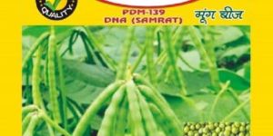 PDM 139 Moong Seeds