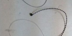 Molded Plastic Seal Tag