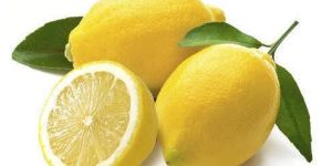 Fresh Lemon