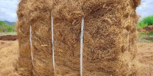 Coir Fiber