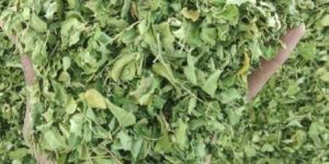 Dried Moringa Leaves