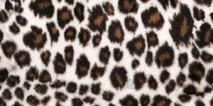 Cheetah Fur Printed Fabric