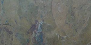 California Gold Slate Stone Paving Slabs