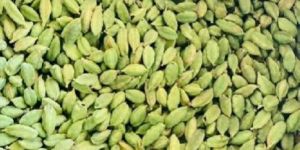 Cardamom