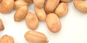 Groundnut Seeds